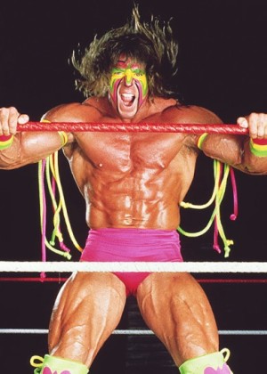 WWF|the ultimate warrior